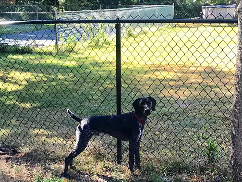 Security Fence Example in Hudson New Hampshire